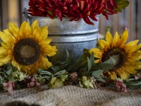 Sunflowers And Red Flowers