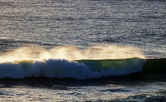 Sunlit Vapour Coming Off A Wave