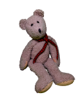 Teddy Bear Portrait