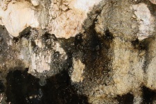 Texture And Stains On Crud Plaster