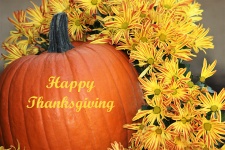 Thanksgiving Pumpkin And Flowers