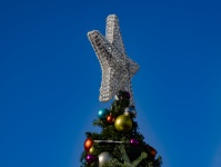 Tree Top Star Christmas