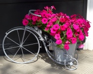 Tricycle Flower Pot