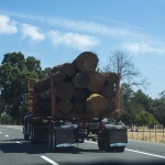 Truck With Logs