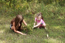 Two Little Girls Planting Trees