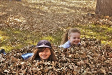 Two Little Girls Playing In Leaves
