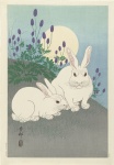 Two White Rabbits At Full Moon