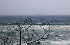 View Of Rolling Waves On The Ocean