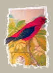 Vintage Red Bird