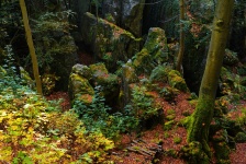 Forest Cliffs Rocks Landscape