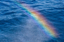Water Spray Rainbow