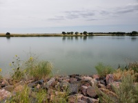 Wetlands Of Colorado