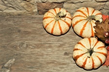 White Pumpkins On Wood Background