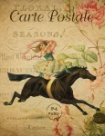 Woman Horse Floral Postcard