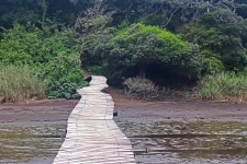 Wooden Platform Crossing A Lagoon