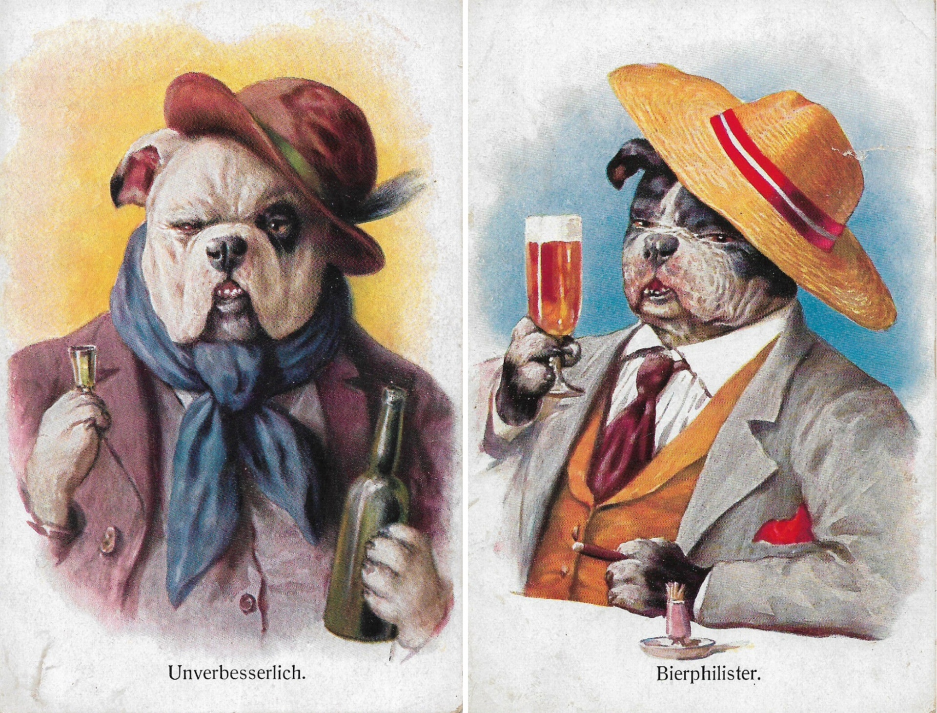 Beer Bar Regular Patrons Dogs