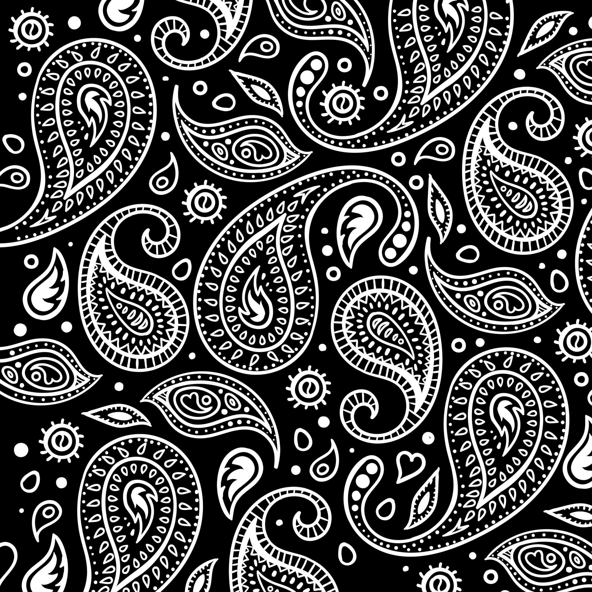 Black white paisley background design pattern