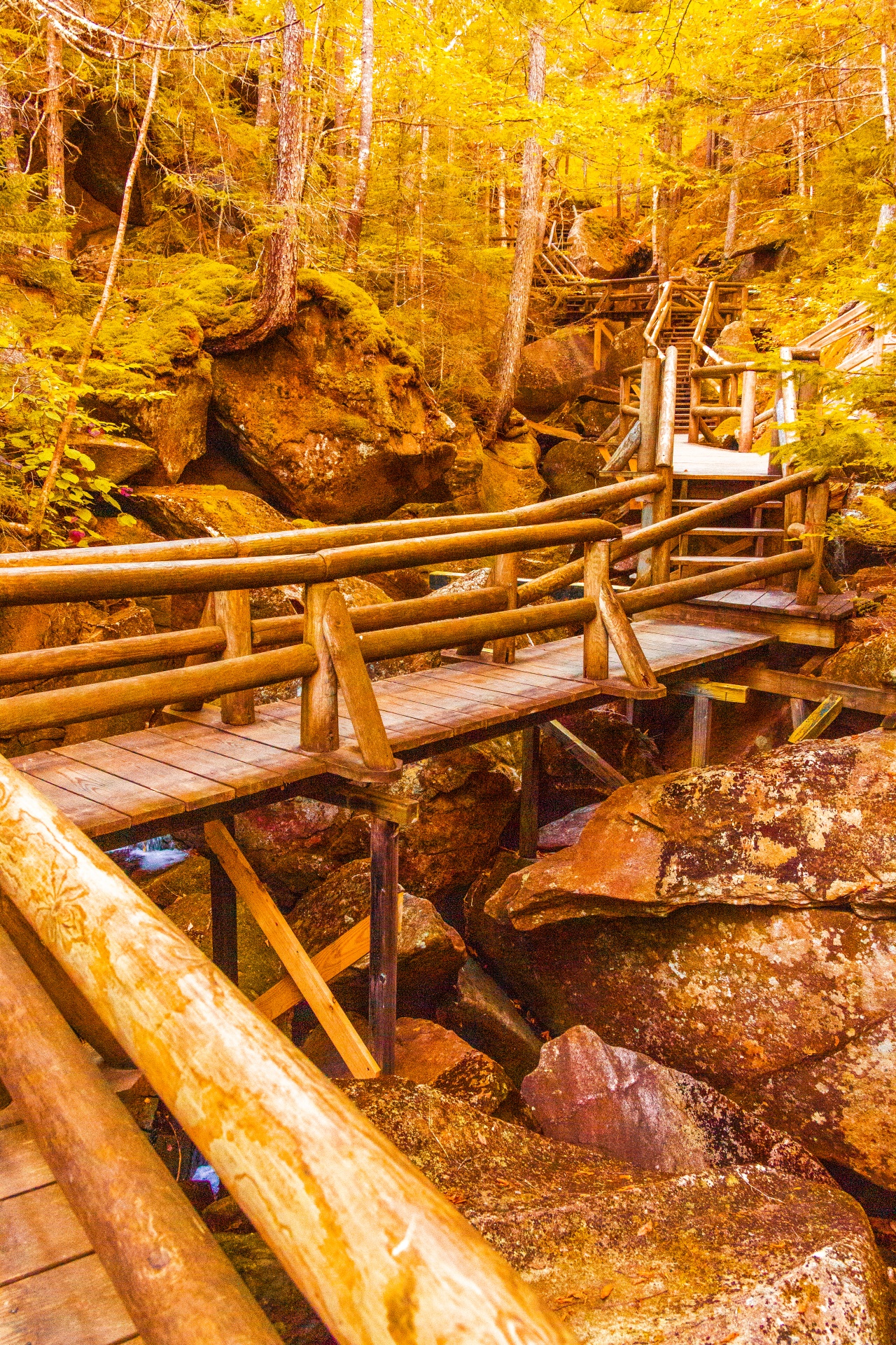 Boardwalk trail through gorge in fall