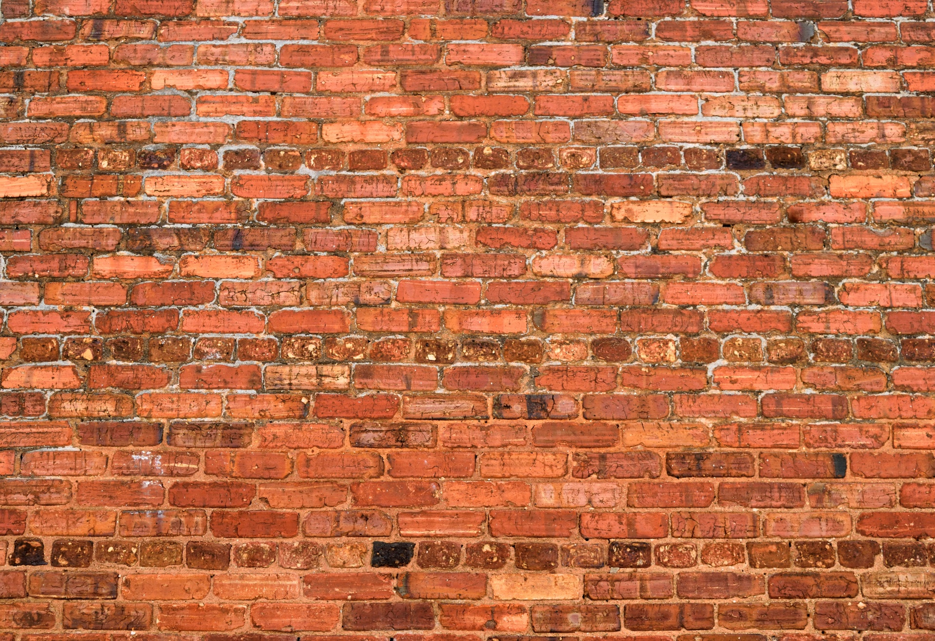 Building exterior brick wall backdrop