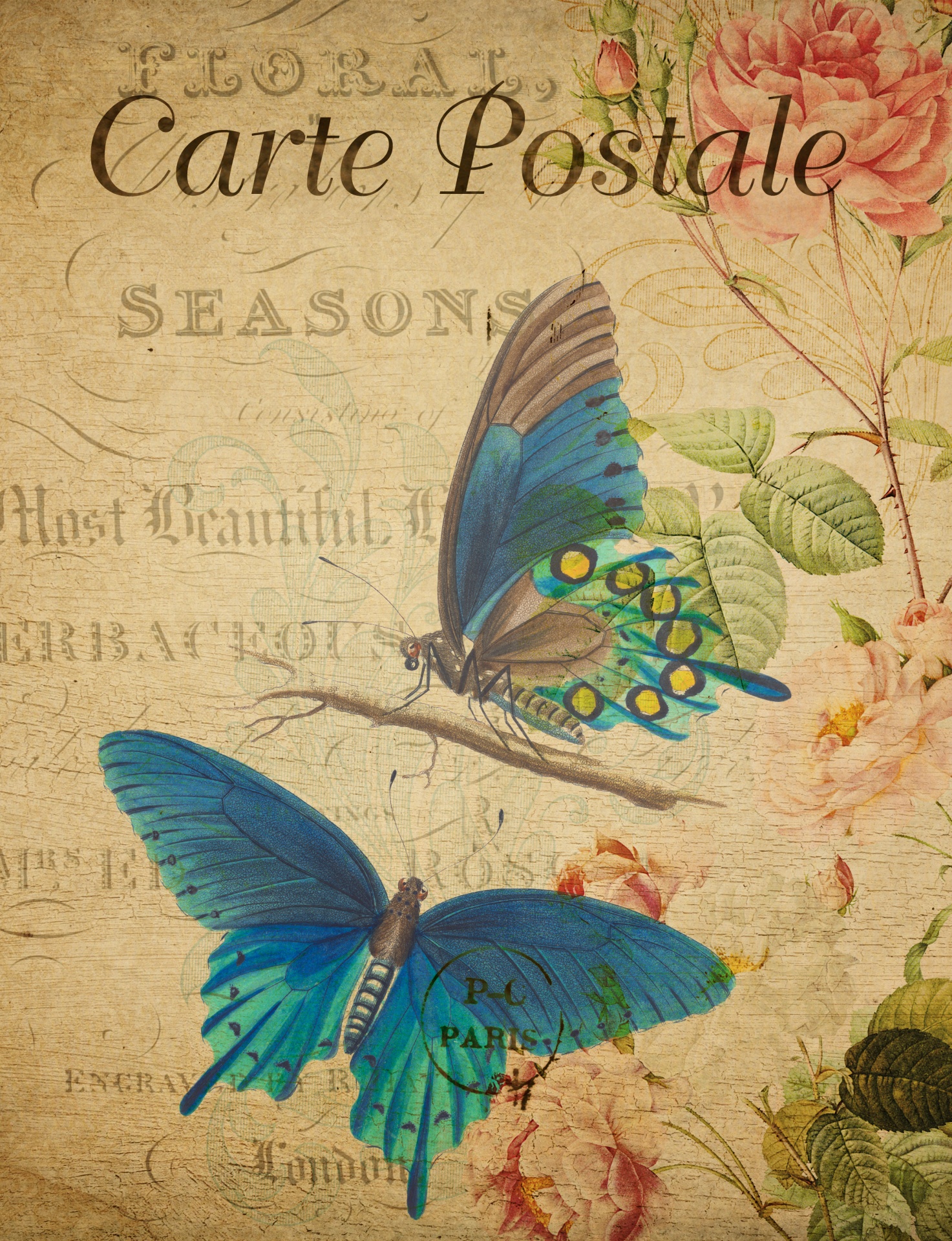 Two blue vintage butterflies on old floral french postcard
