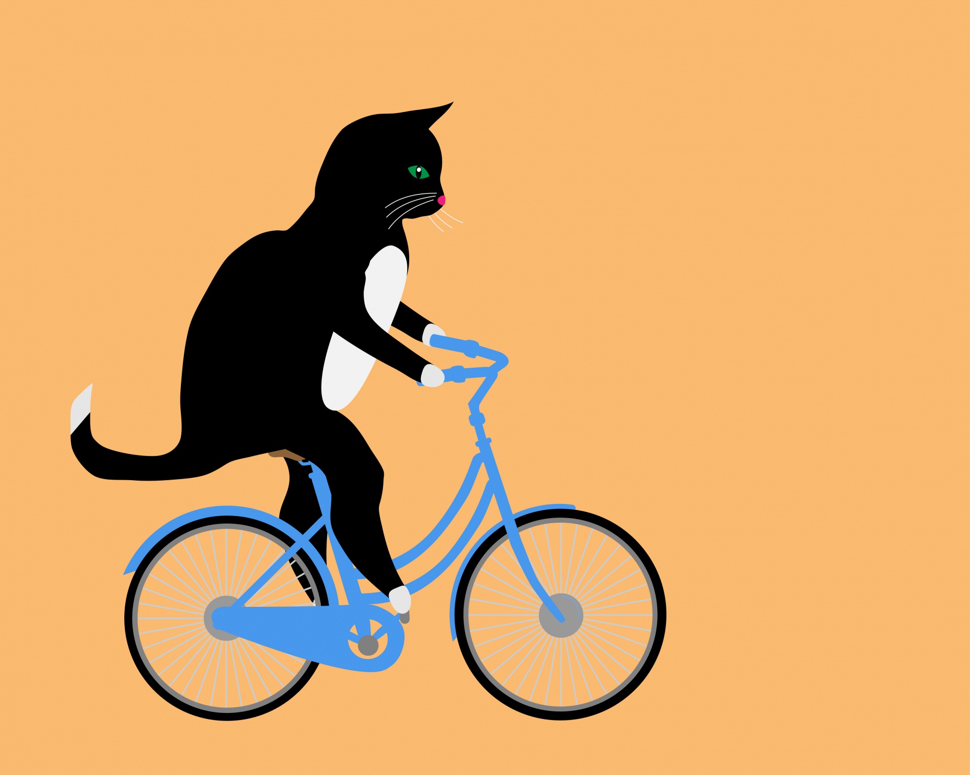 Cat Riding Bicycle