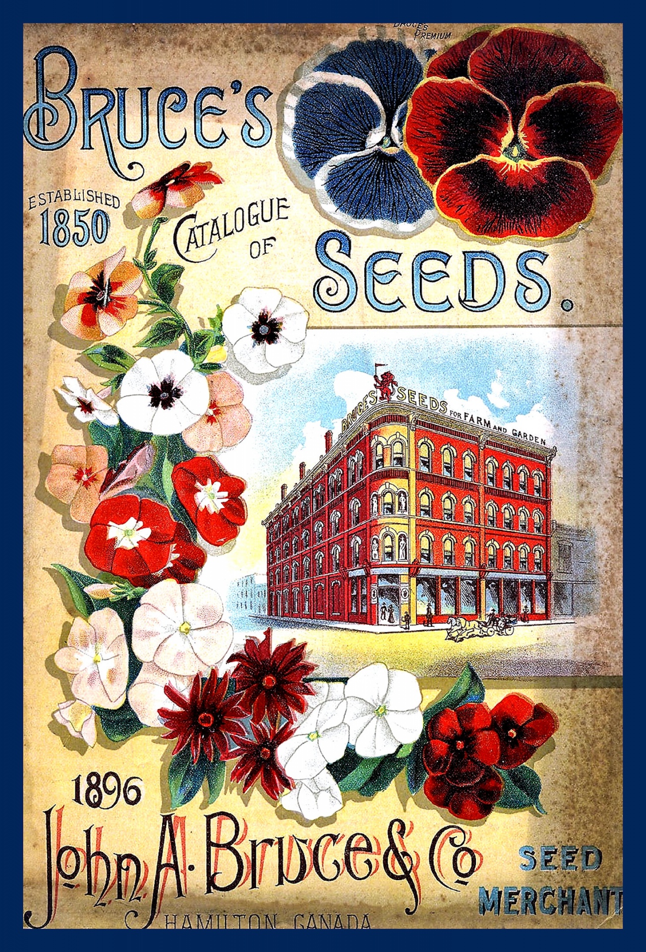 Vintage Seed Catalog 12