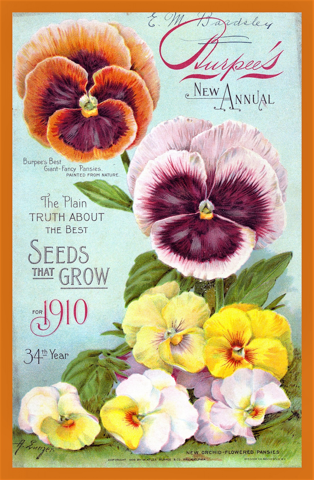 Seed Catalog Vintage 7