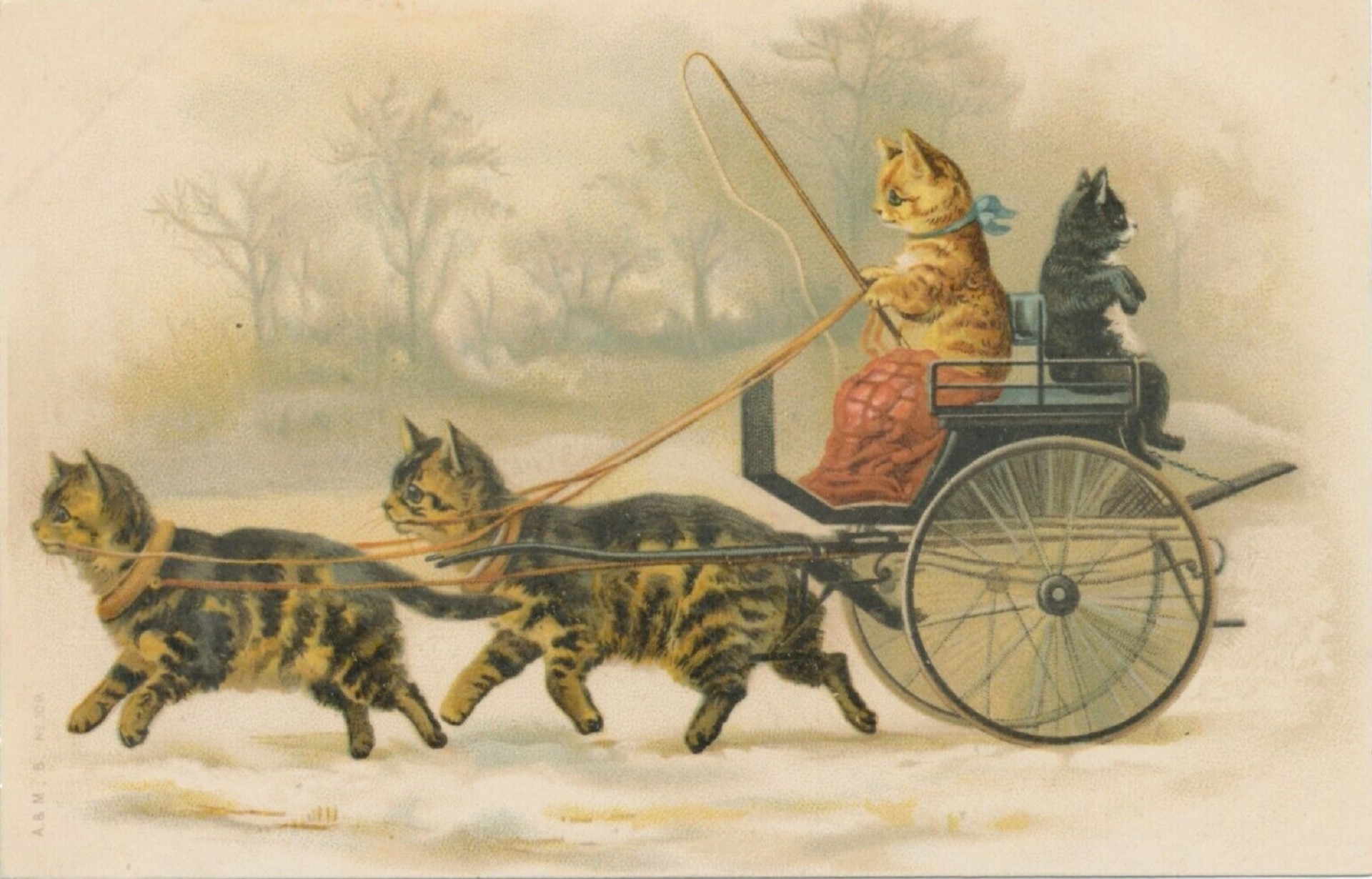 Cats Pull Cats In Carriage Wagon