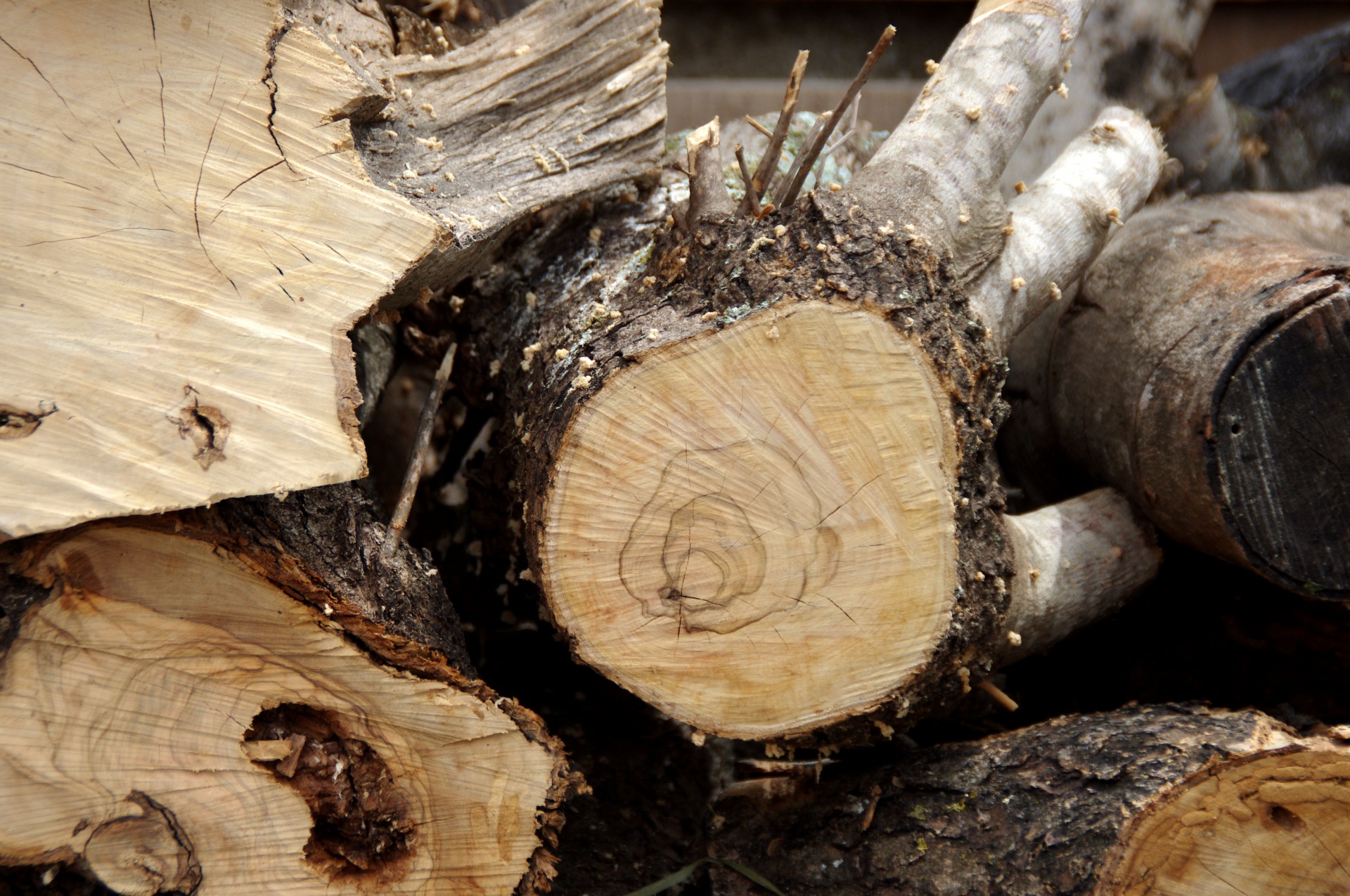 Chopped Wooden Logs