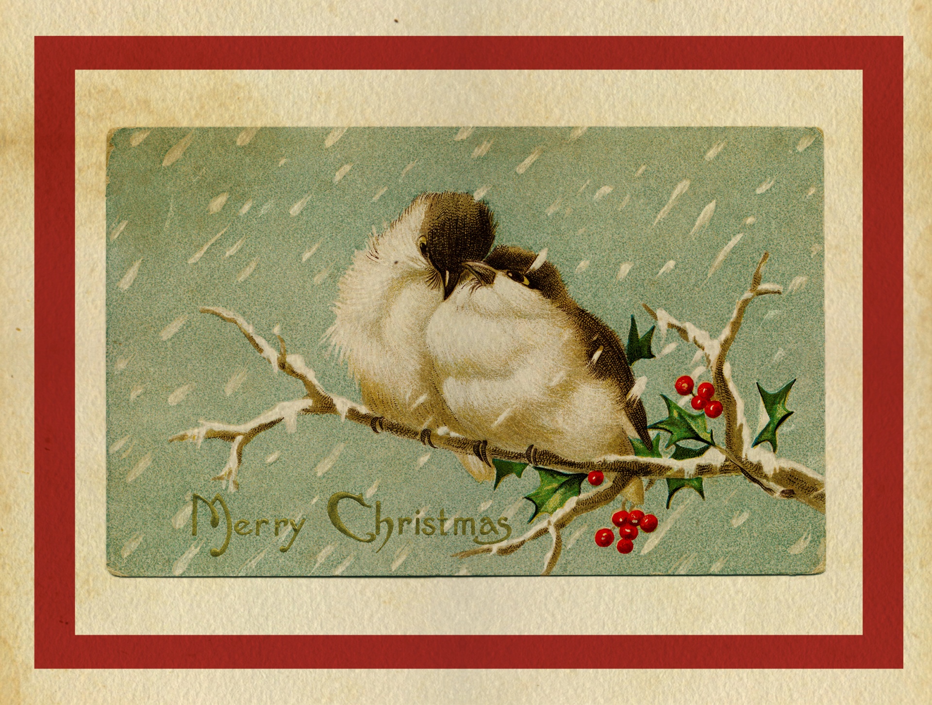 Vintage victorian christmas card of two birds on holly branch in snow illustration
