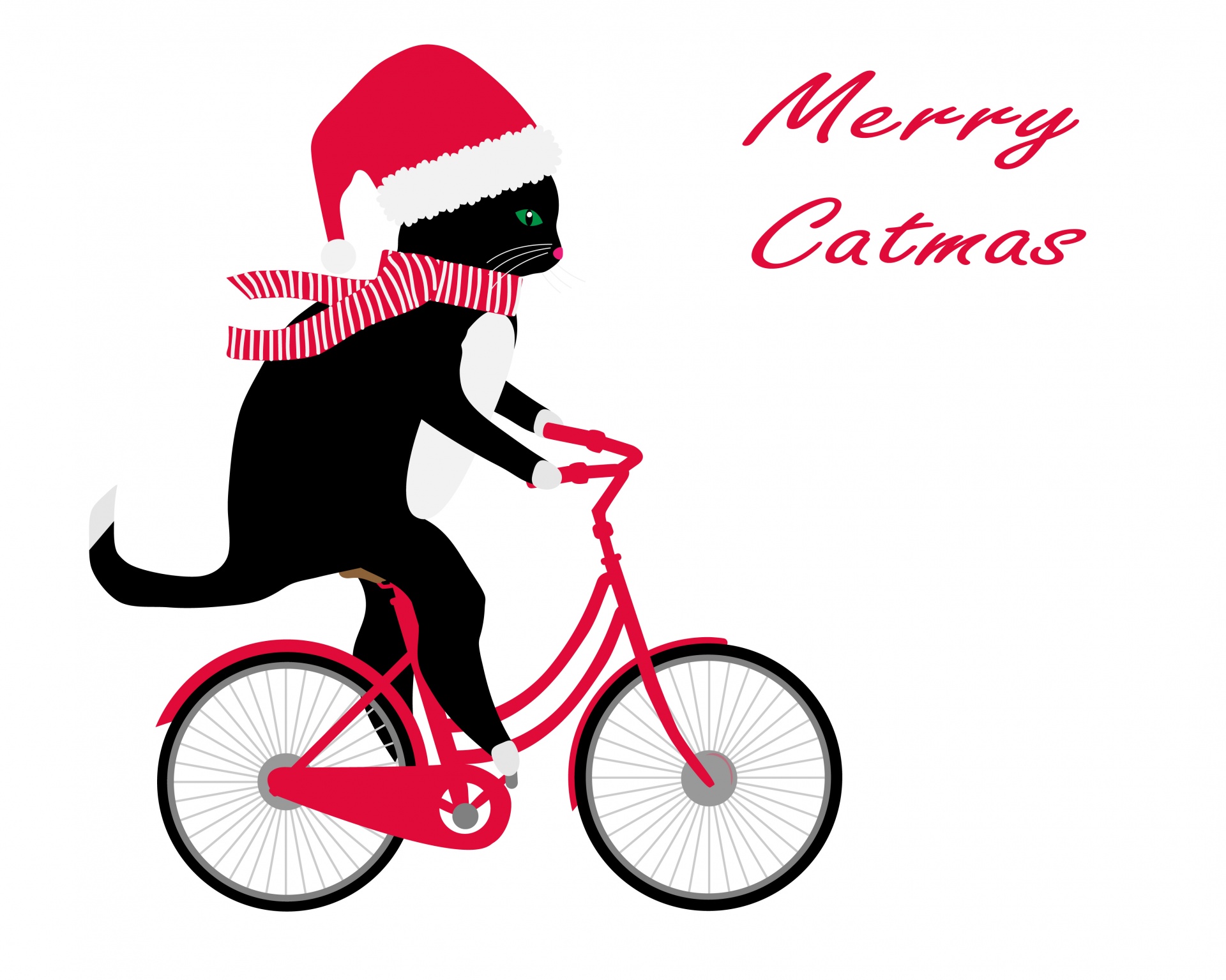 Christmas Cat Riding Bicycle