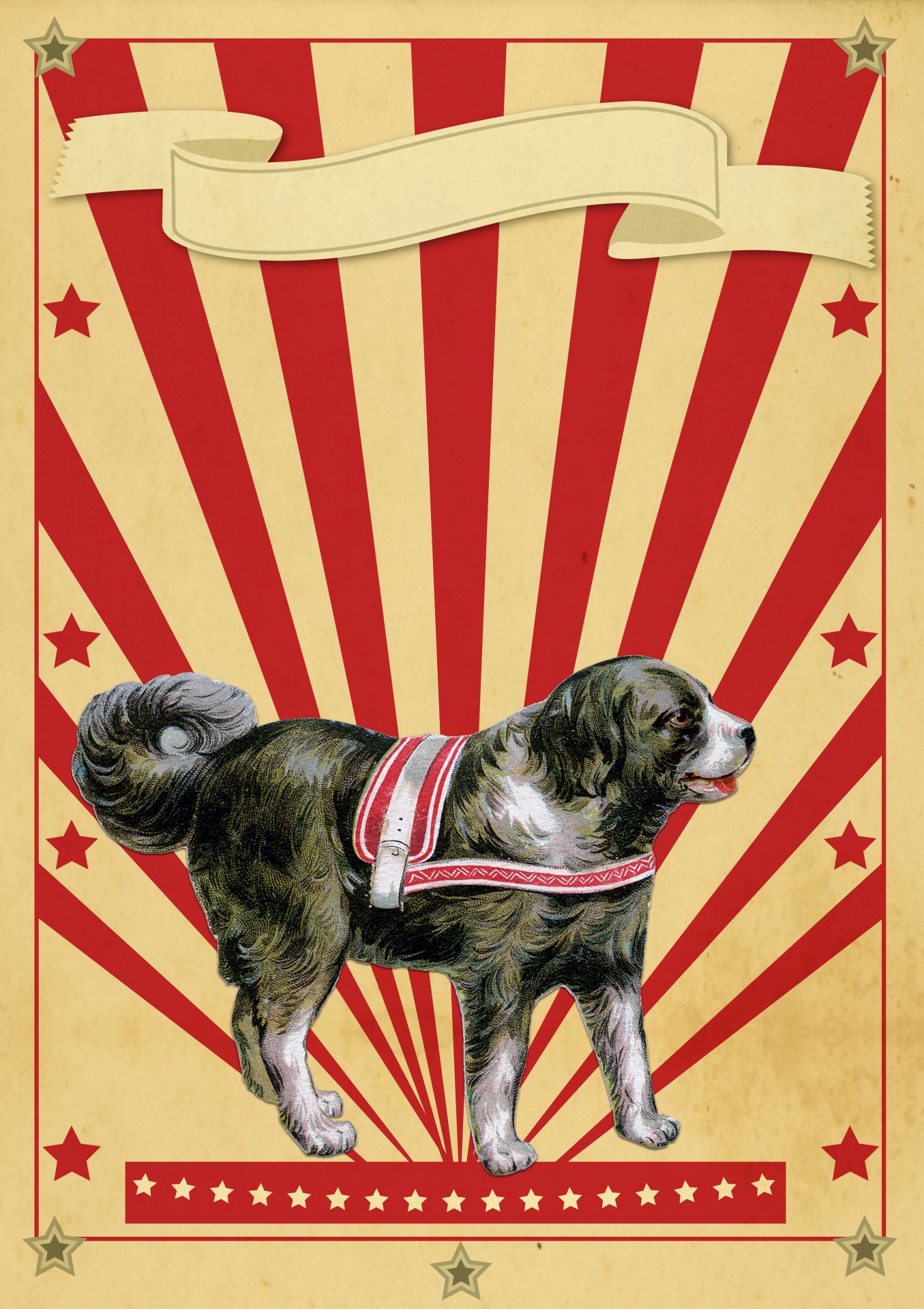 Vintage retro style circus poster with large performing dog