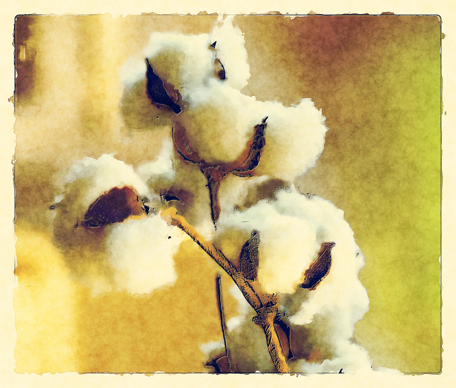 artistic rendering of unpicked cotton
