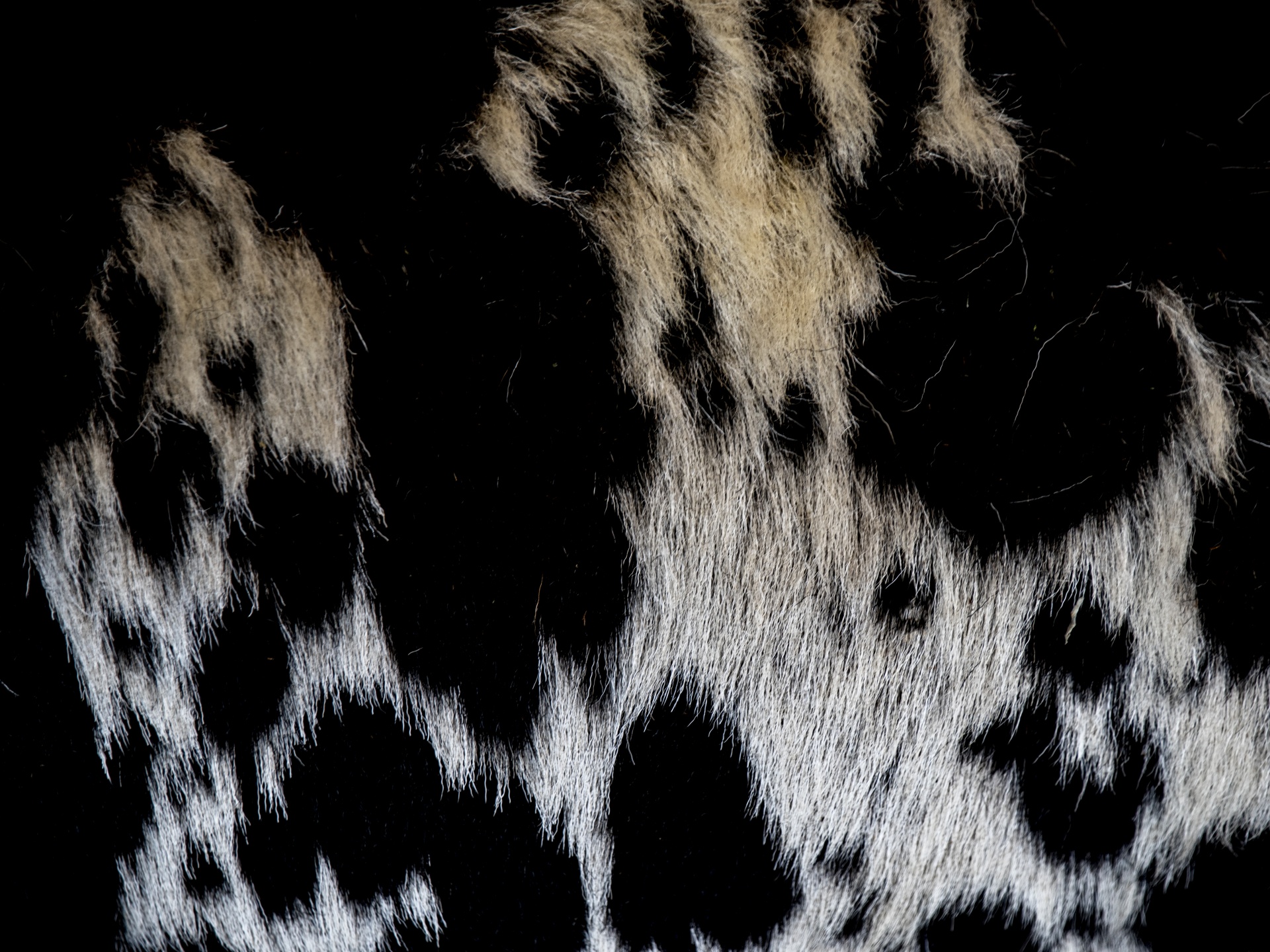 Cow Hide Background Image