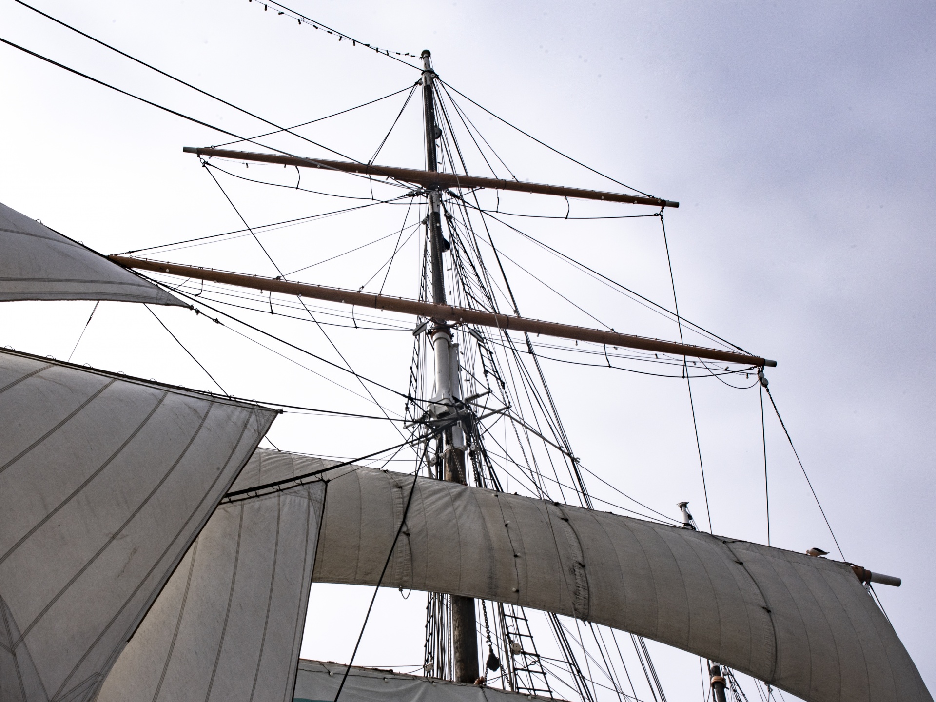 Fore Sails On A Ship