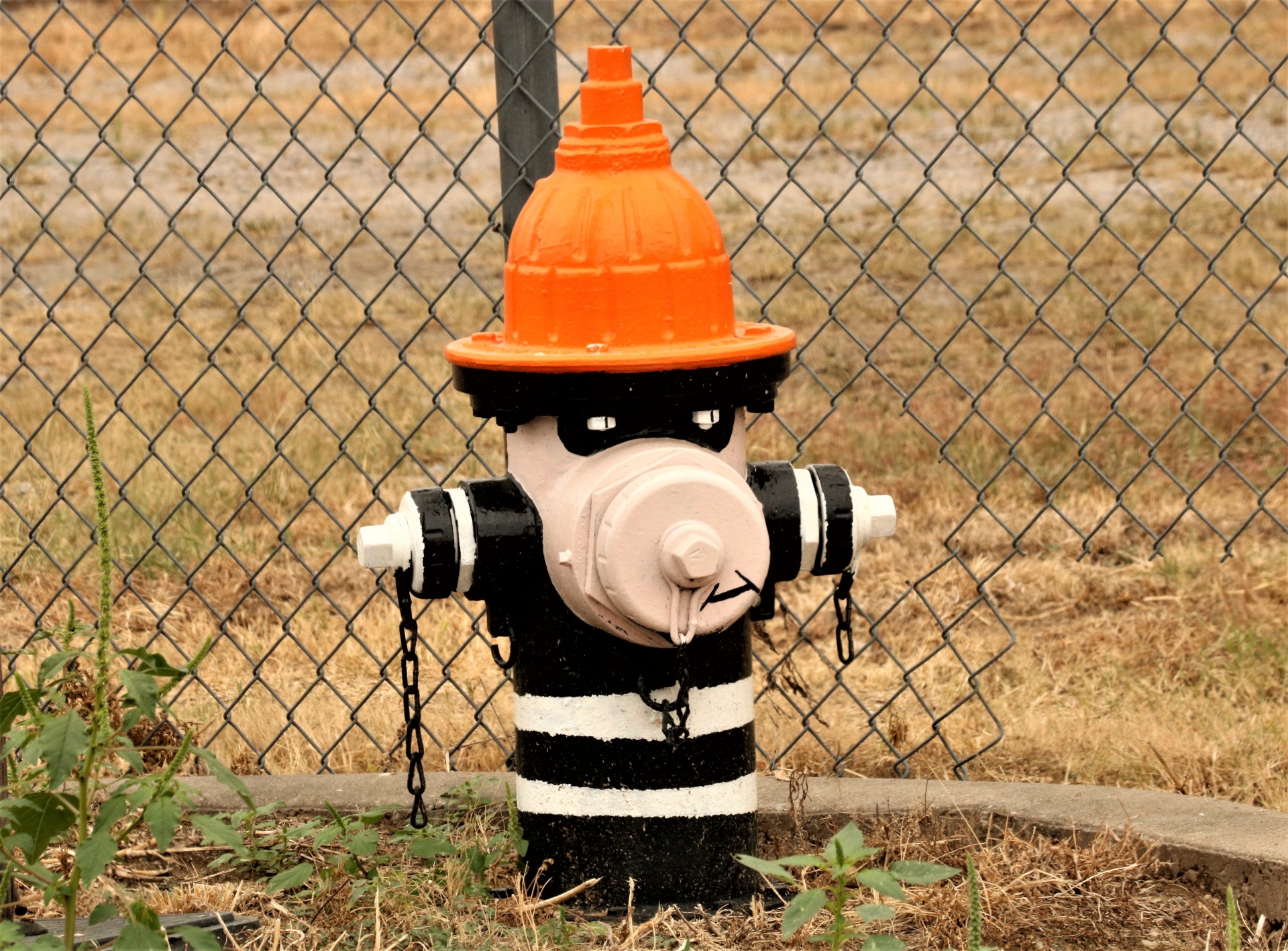 Funny Inmate Fire Hydrant