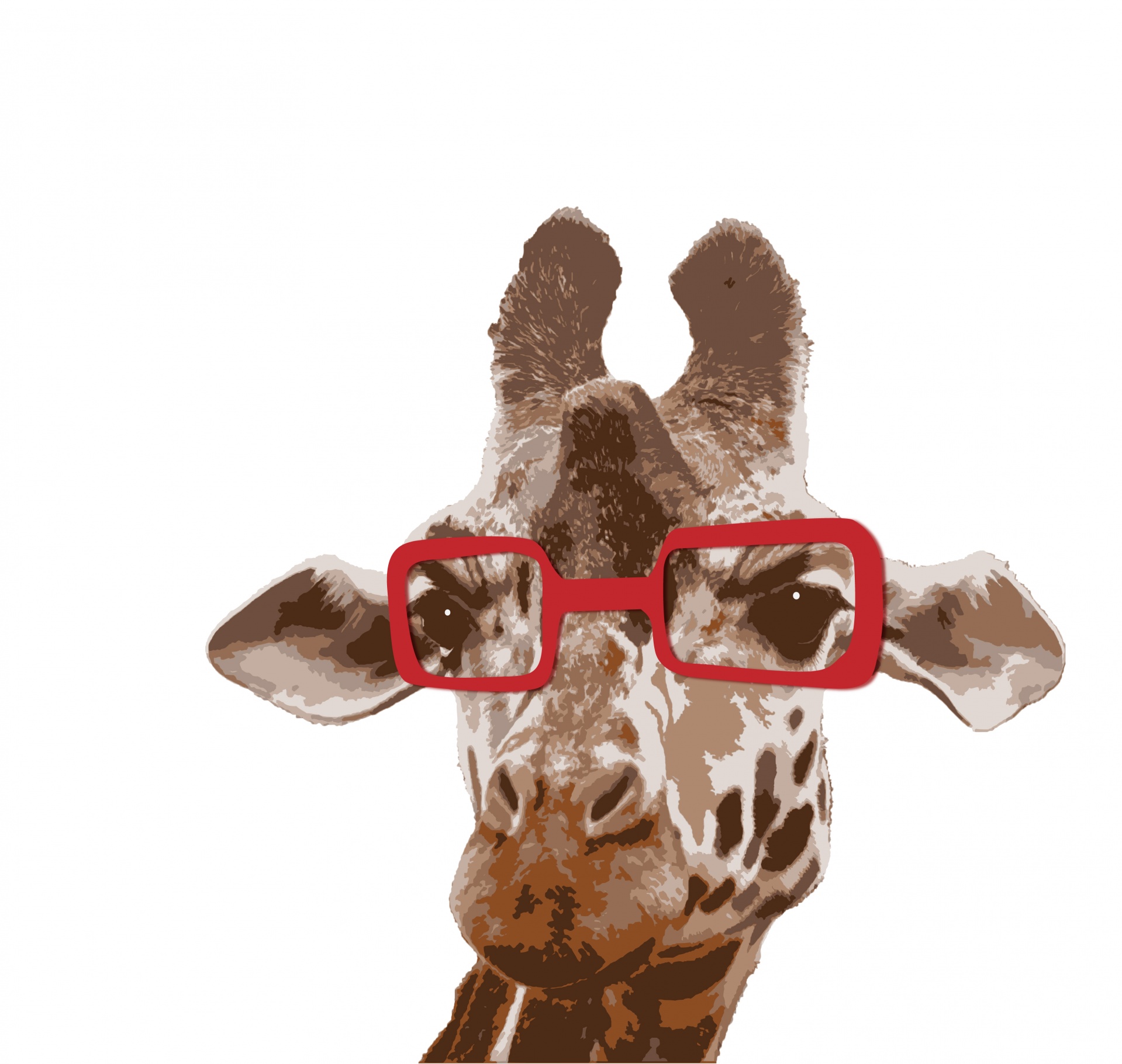Giraffe Wearing Spectacles