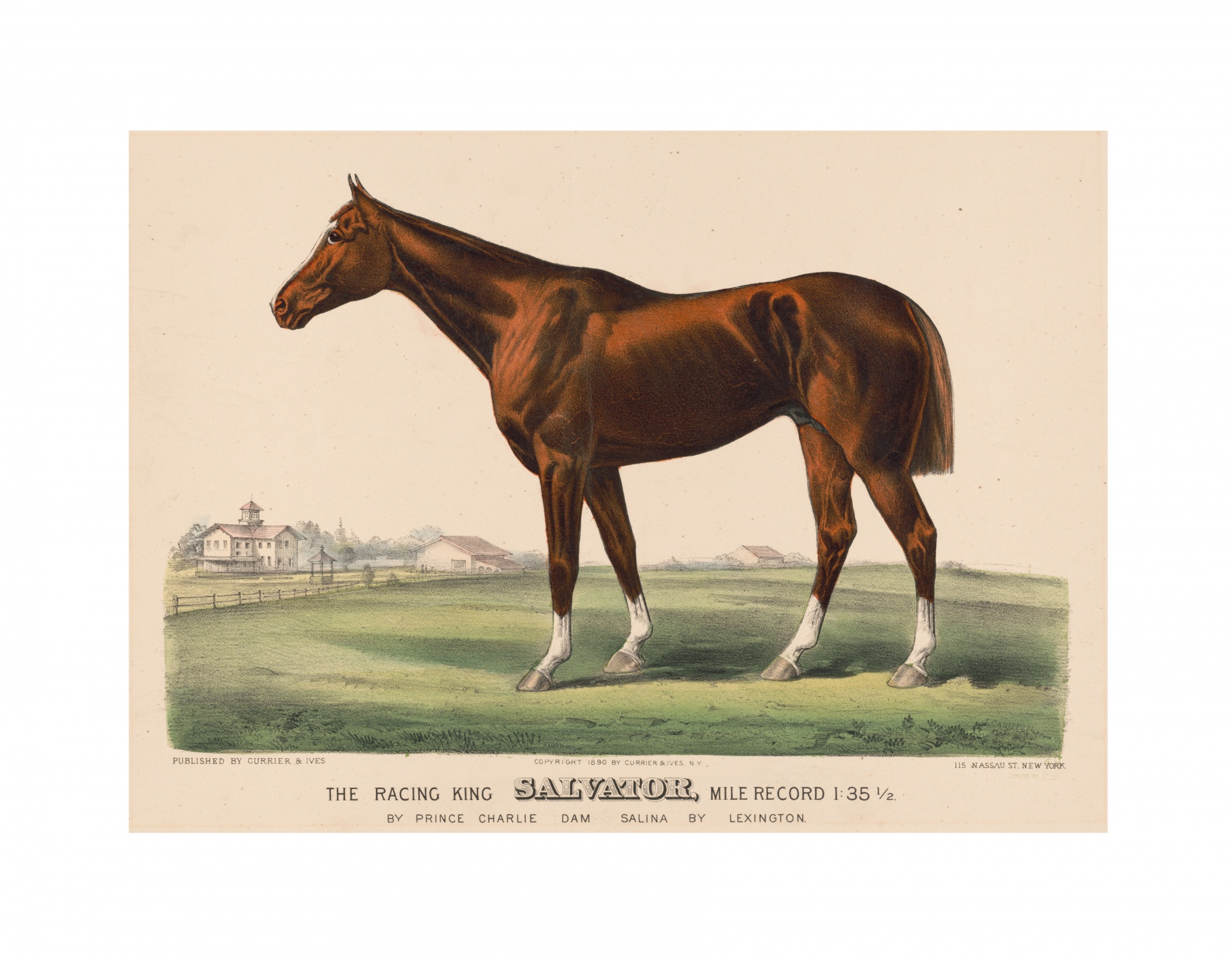 Horse Vintage Print