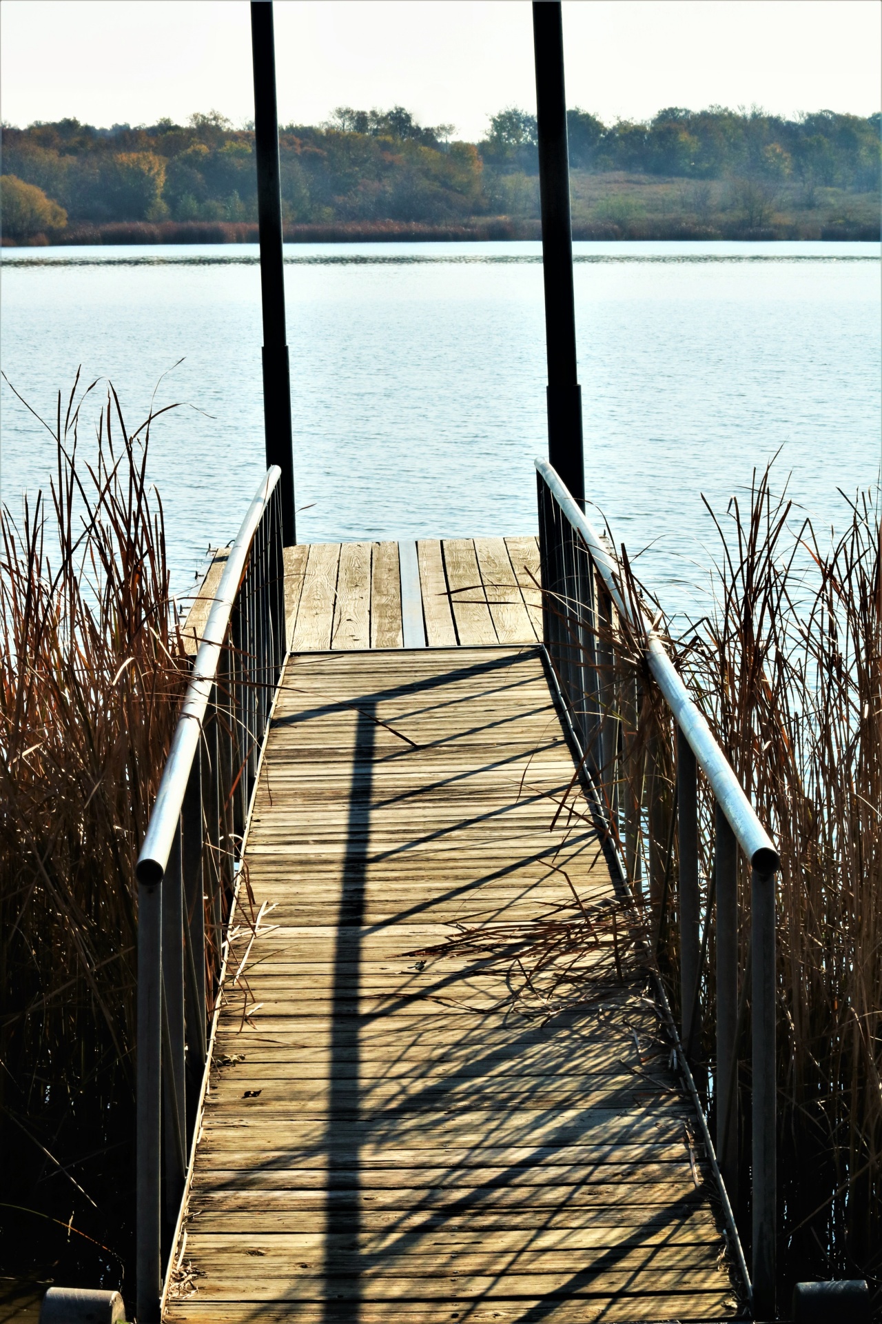 A small pier, lined with cattails, leading into a blue lake with autumn trees and blue sky in the background.