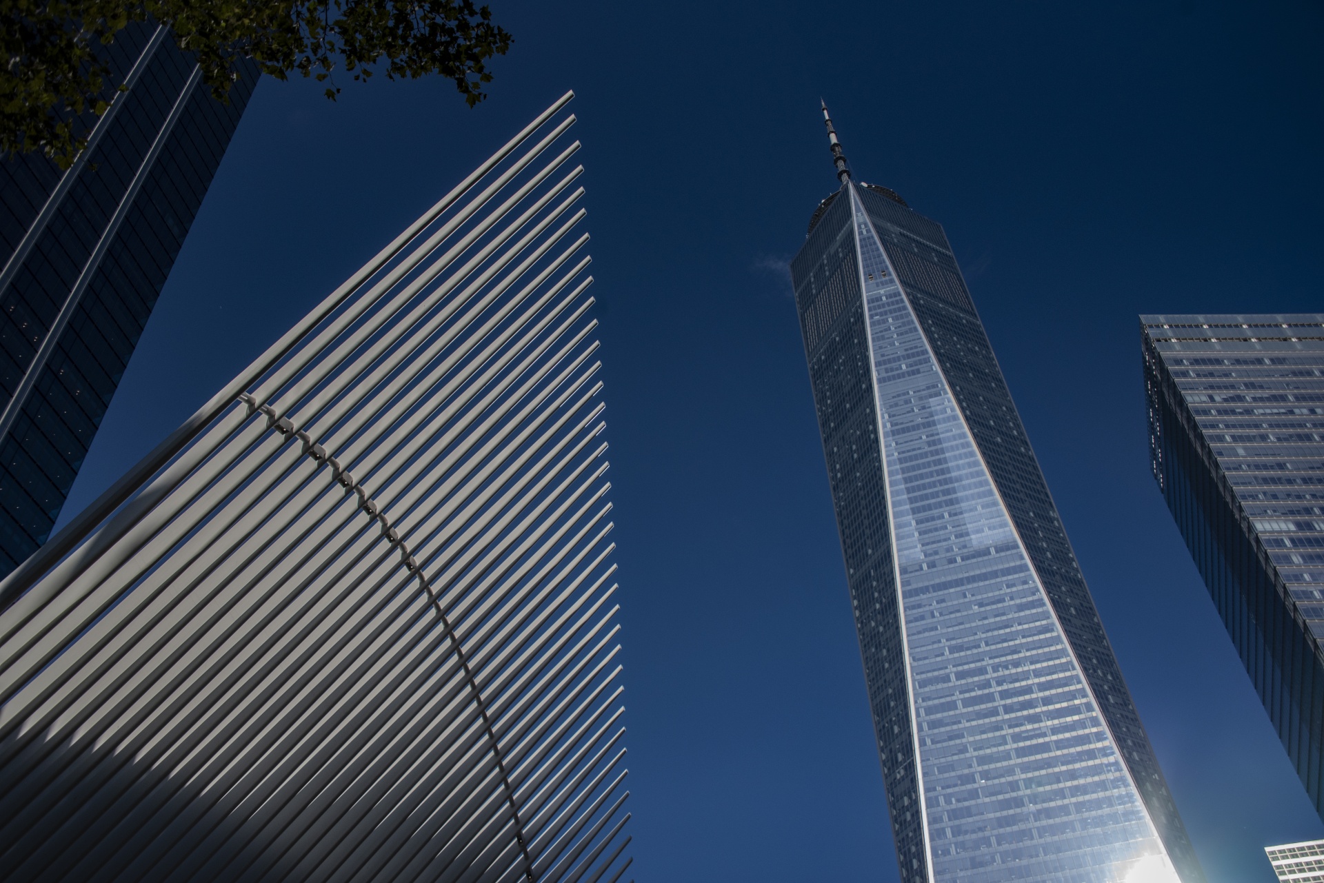 Oculus And Freedom Tower 911