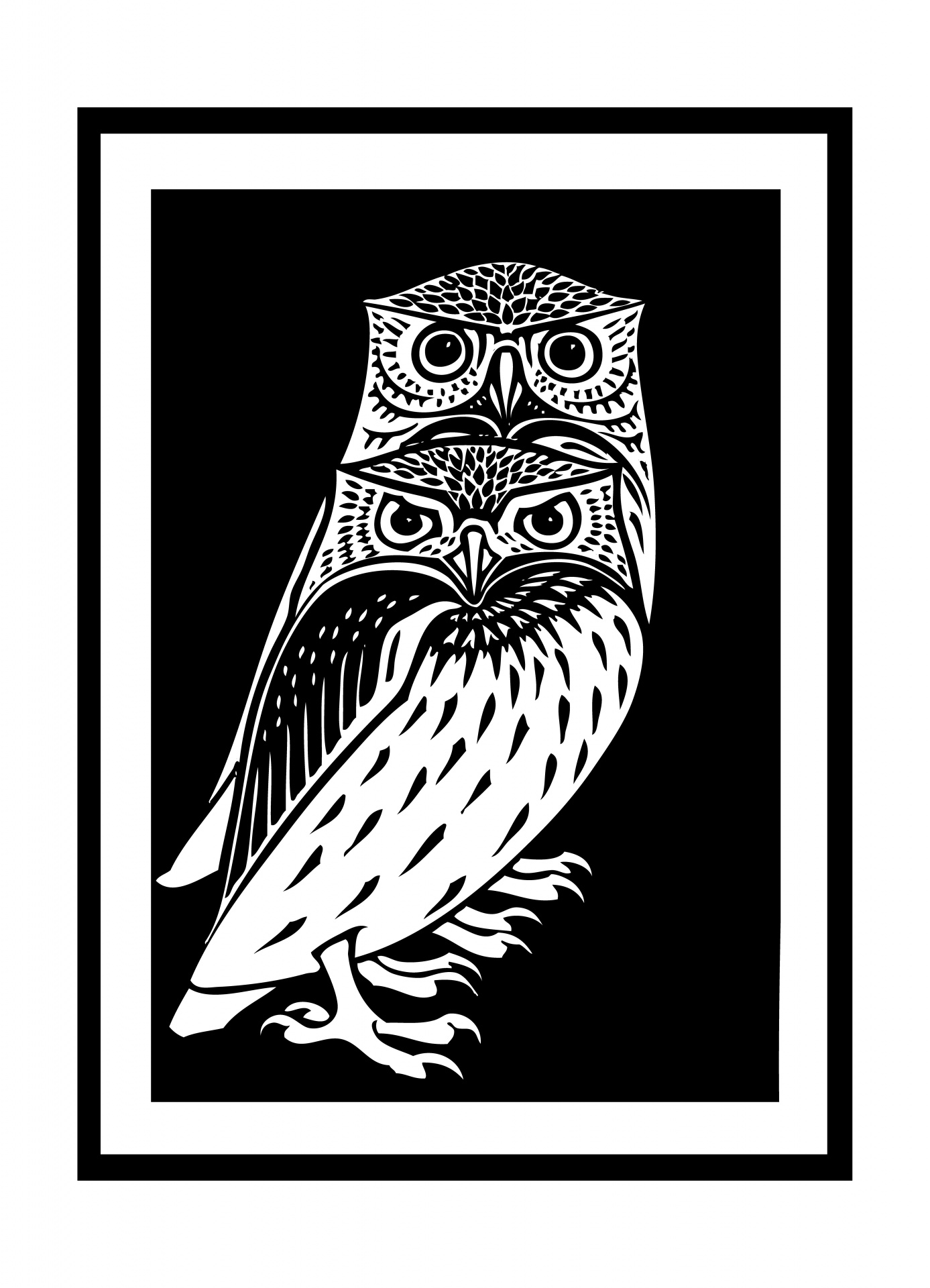 Owl Drawing Black White