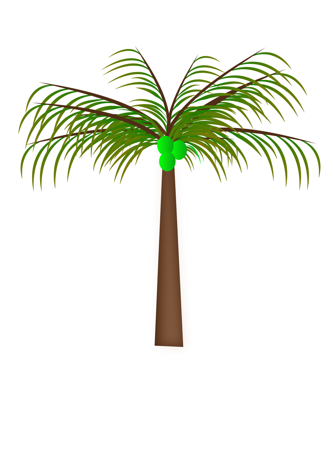 Coconut Palm Tree With Coconut Bunch