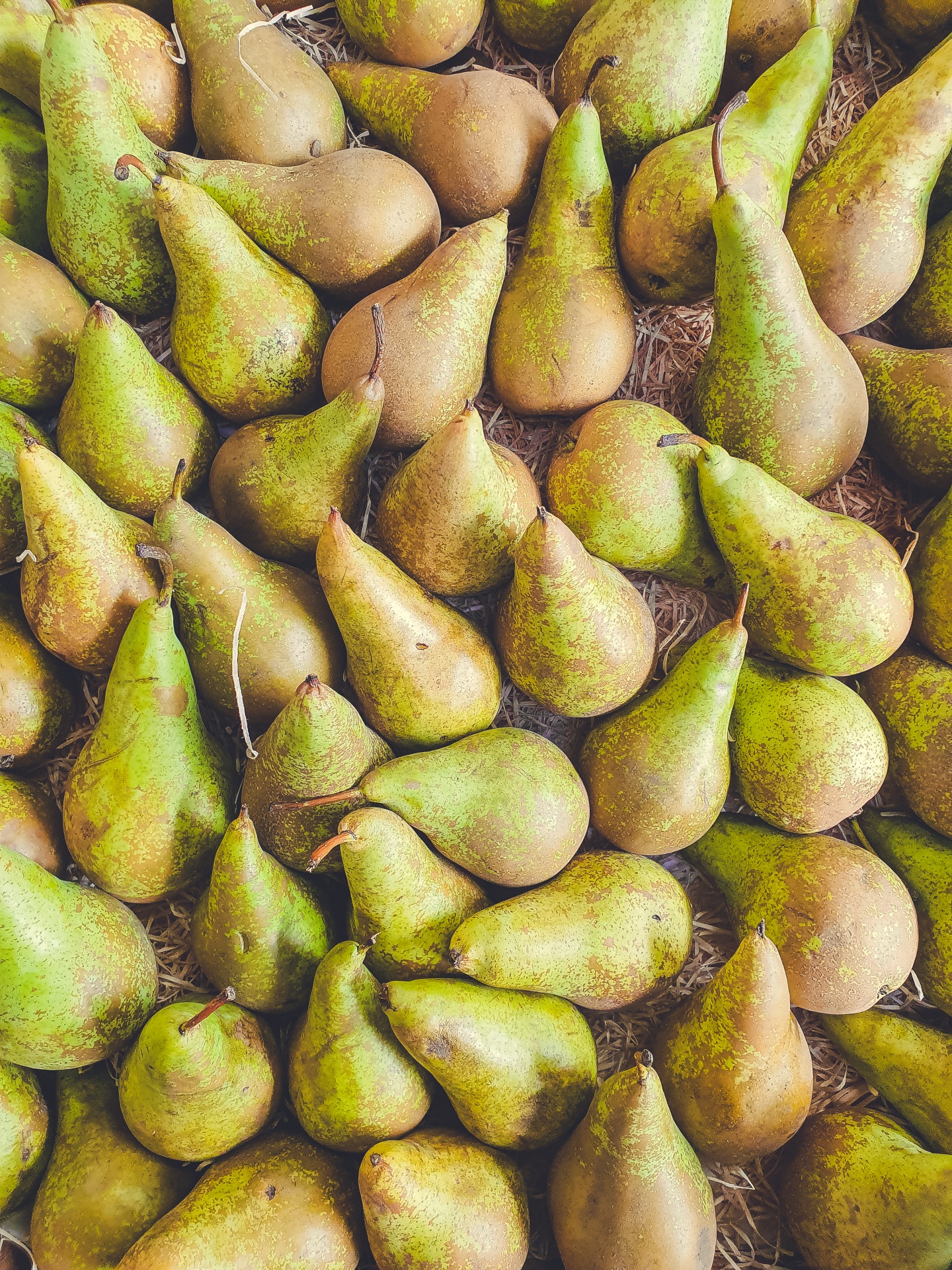 Pear Background