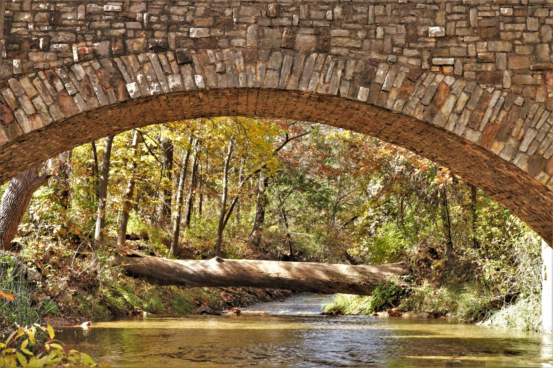 Rock Bridge And Fallen Tree In Fall