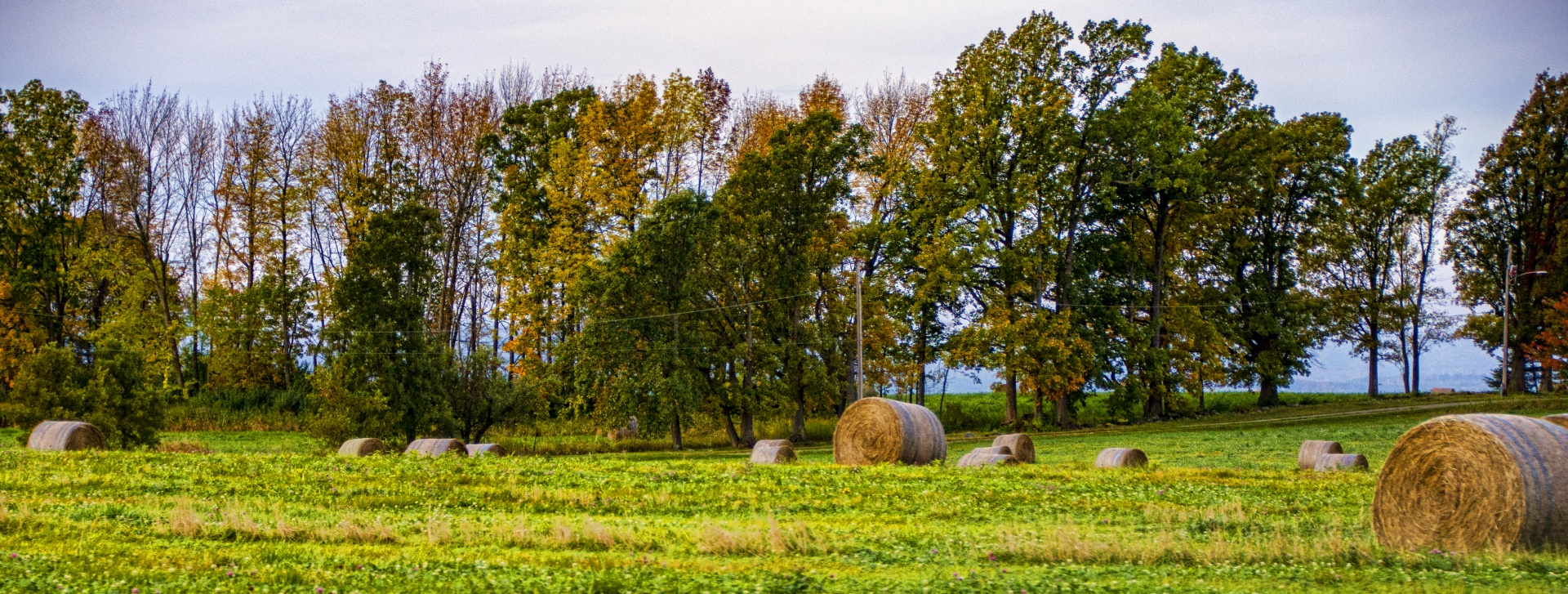 hay bales in a field New England Fall colors