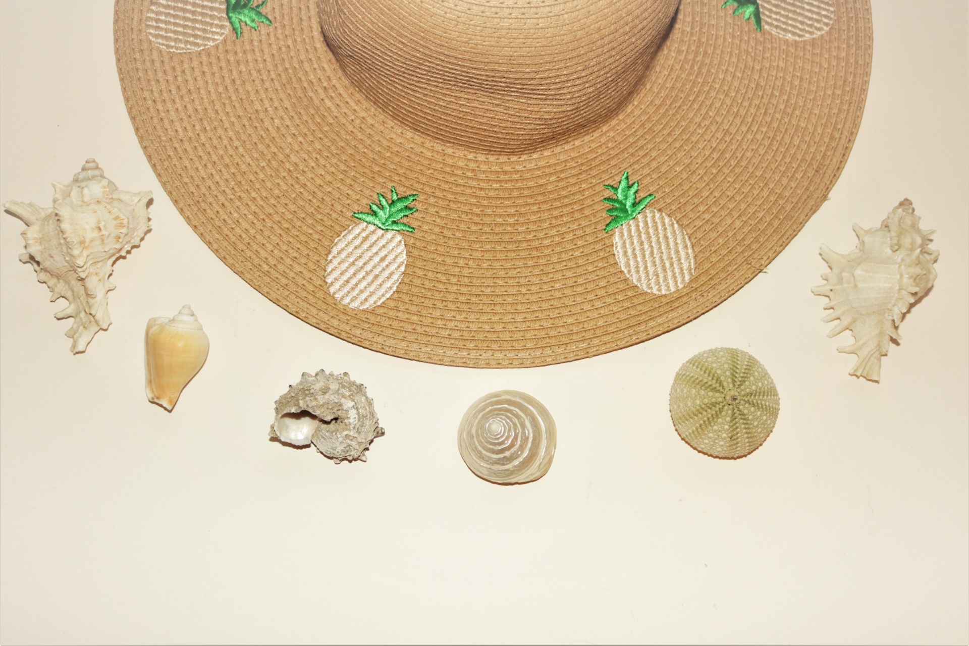 Sea Shells And Straw Hat On White