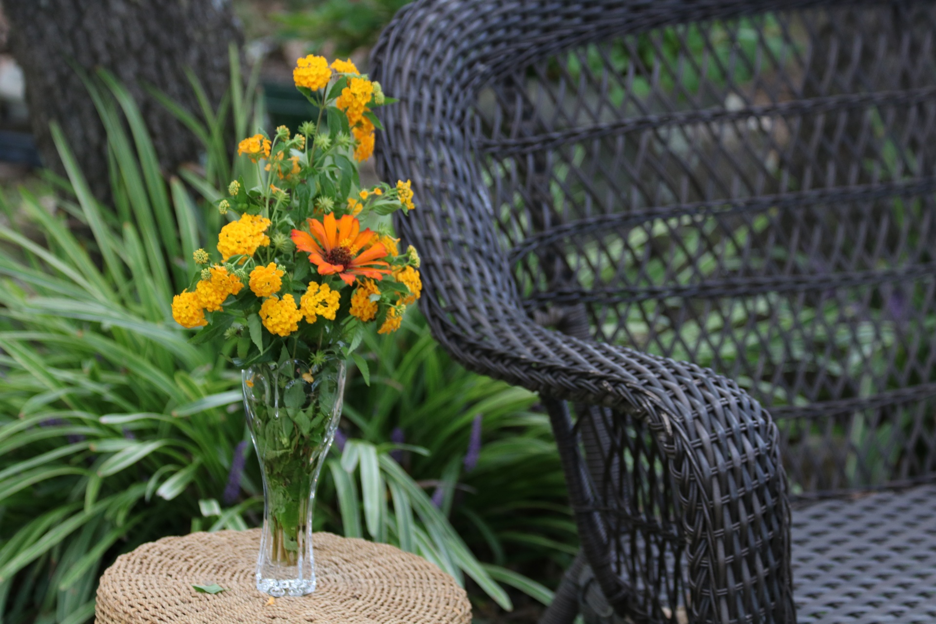 Summer Flowers Beside Wicker Chair