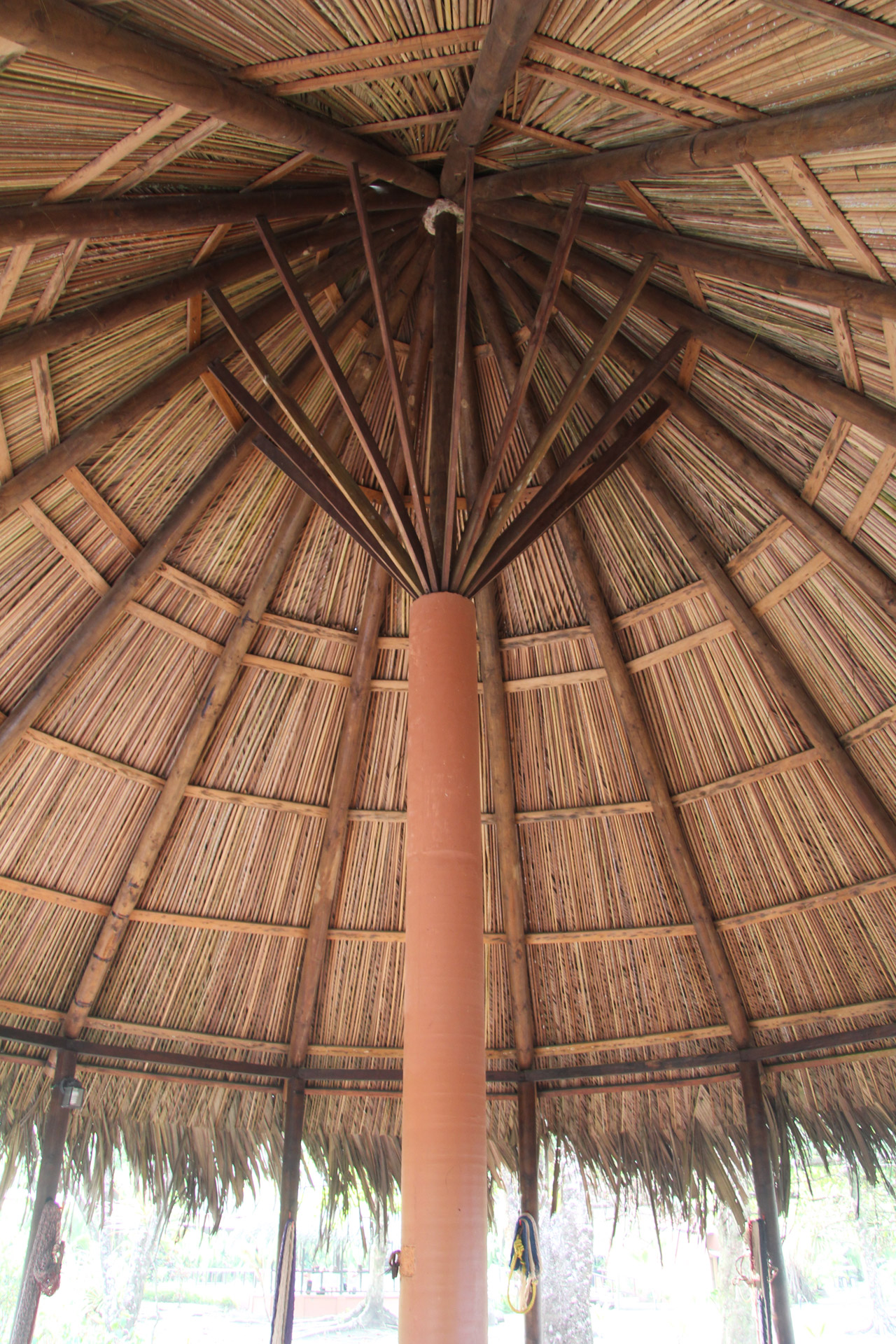 Thatched Ceiling