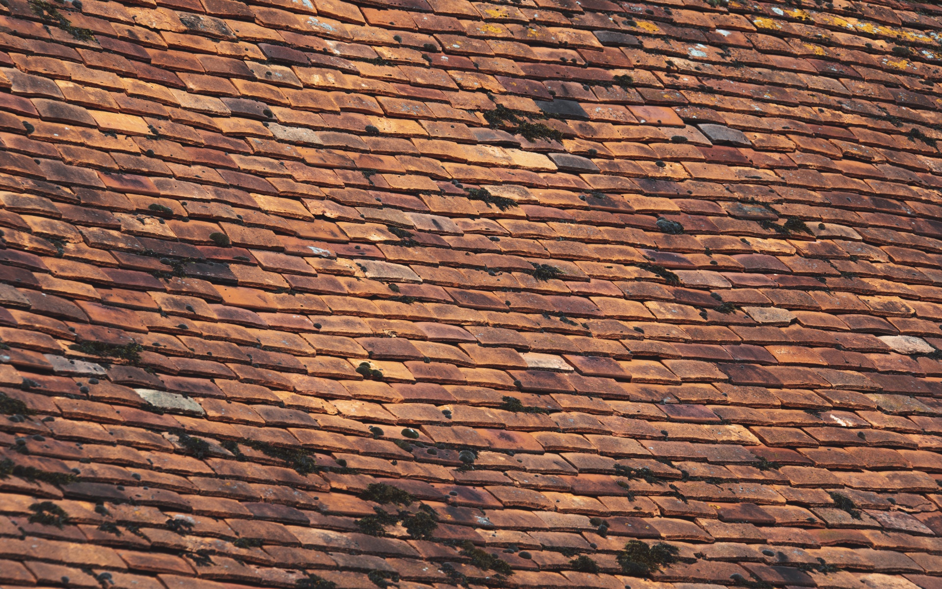 Vintage Roof Tiles