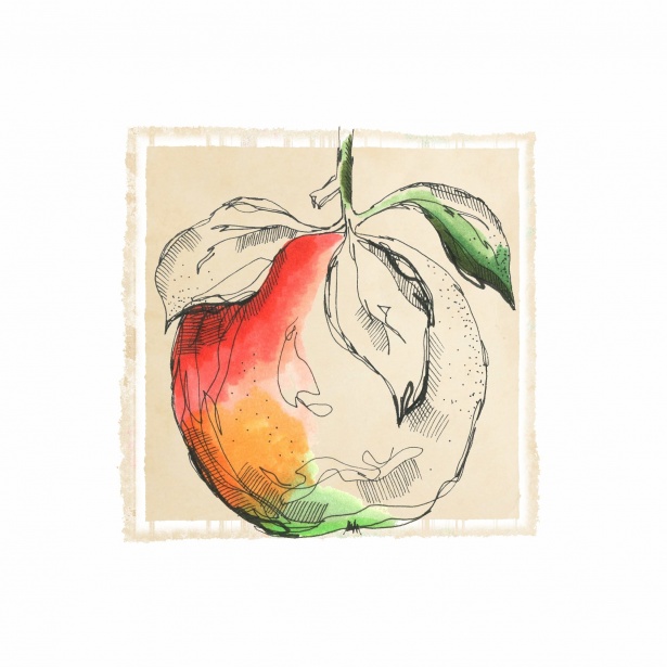 Linie gezeichneter Apfel Kostenloses Stock Bild - Public Domain Pictures